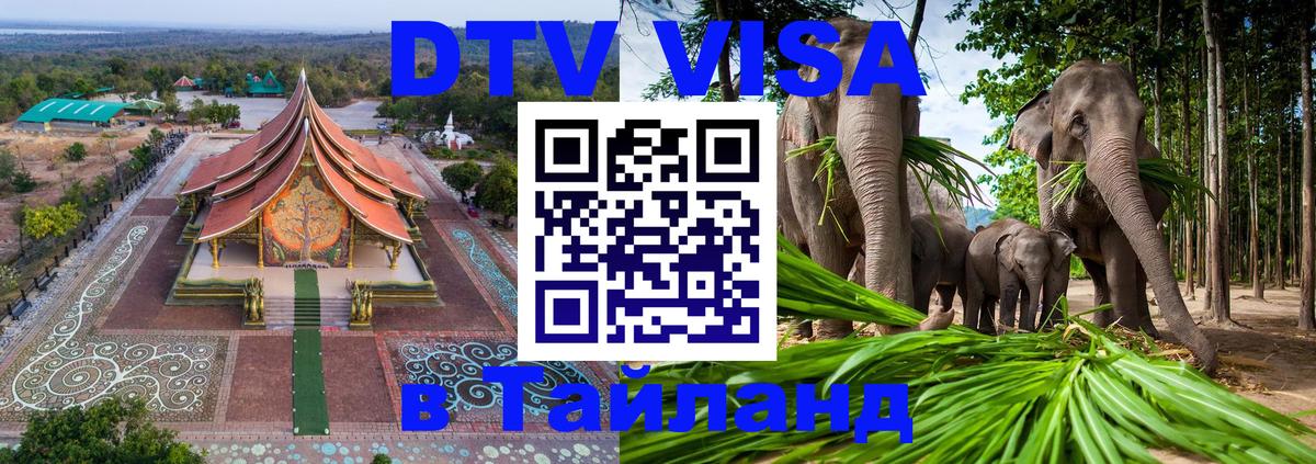 Оформление DTV визы под ключ: стоимость и тарифы, только загранпаспорт - 18.11.2025 